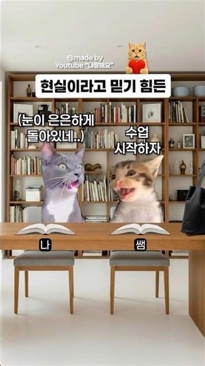 현실이라고 믿기 힘든 순간을 겪었을 때 🐱 #고양이밈 #shorts