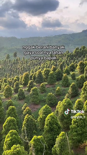Petani Muda: Tantangan dan Gaya Hidup di Lahan Pertanian