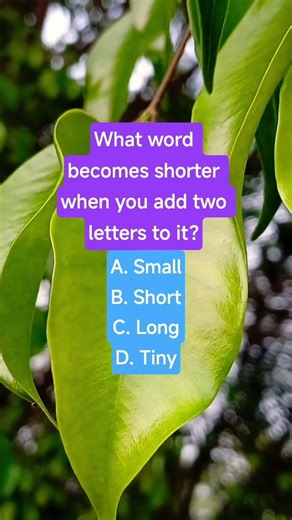 What word becomes shorter when you add two letters to it?