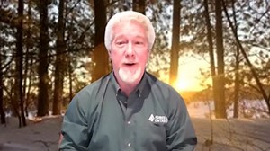 Forests Ontario says choosing a real Canadian Christmas tree is good for the planet