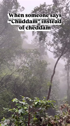 Tara on Instagram: "Small word… Big confusion 😤 #funny #memes #telugu #contentcreator #trendingreels"