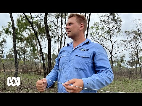 There's no scientific evidence that water divining works so why is it still popular? | ABC Australia