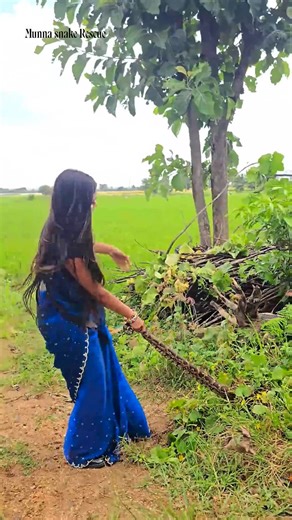 Munna Msr on Instagram: "#Indian #rock python snake 😱"
