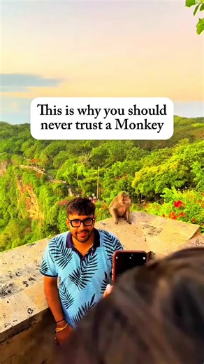 Why You Shouldn't Trust Monkeys: Their Intelligence Explained