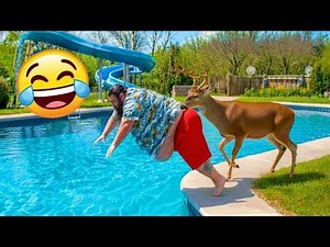 Fails of the Week 🤣 Try Not To Laugh | Funniest Fails Compilation & Epic Funny Videos