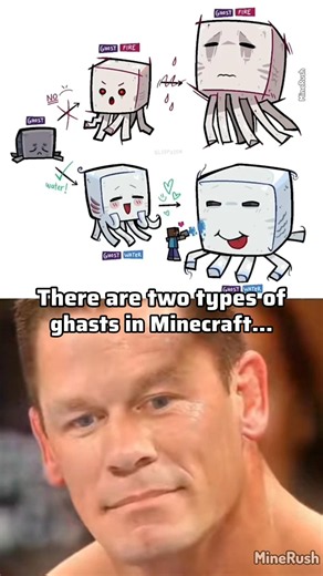 The Two Types of Minecraft Ghasts 💀| #shorts #minecraft #minerush #trend #trending