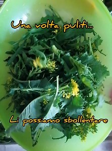COME PULIRE E PREPARARE I BROCCOLI E I FRIARIELLI https://blog.cookaround.com/gaianna/ricette-con-broccoli-e-friarielli/ | Cookaround - Cucina e Ricette