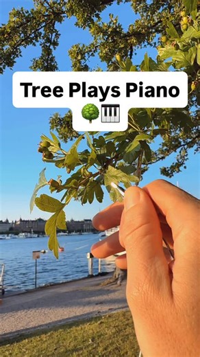 PlantWave | A tree plays piano. This tree’s subtle electrical signals are being translated into sound through PlantWave. With the PlantWave app, you... | Instagram