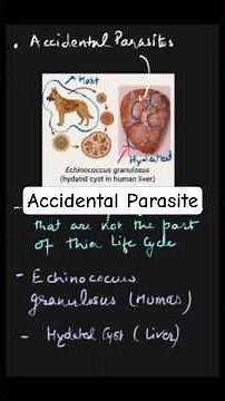 Accidental Parasite Explained | Medical Parasitology | Microbiology Shorts