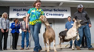 UC Davis welcomes new Goat Dairy and Creamery