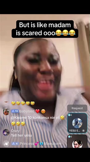 Understanding Bulldozer Behavior in Construction