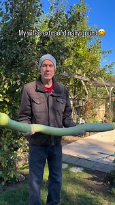 Giant gourd | Dave Ringham | Facebook