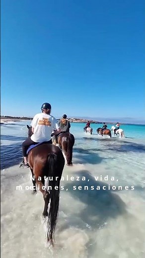 Submarinismo, rutas, excursiones, experiencias, todo lo que puedes hacer y disfrutar en Formentera.