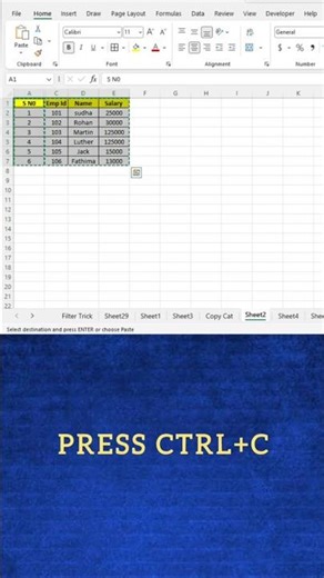 Copy Only Visible Cells in Excel in 1 Second ⚡Most Excel Users Don't Know This Shortcut 🤯#excel