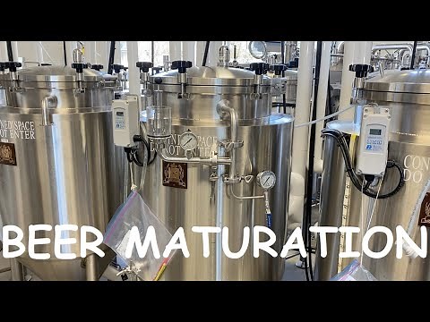 Beer Maturation Explained: From Secondary Fermentation to Lagering - (How is Beer Made?)