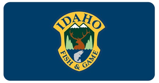 Illegal moose killings under investigation near Elk River