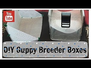 DIY Guppy Breeder Boxes