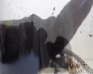 File:Ferrofluid in Simulated Microgravity.webm - Wikimedia Commons