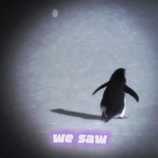 Mori Buntaro x Nihilist Penguin | Goth Slowed