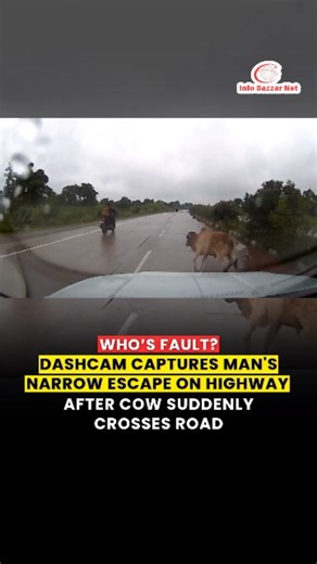 A dashcam video has gone viral after capturing a near-accident on a busy highway in India, highlighting the growing concern over stray cattle on roads. The footage shows a man driving at a controlled speed close to the divider when a cow suddenly crossed the road. The driver reacted quickly, applying the brakes, and managed to reduce the impact. Although the car collided with the animal, the collision was minor, and the cow slid across the road without sustaining fatal injuries. Authorities and 