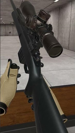 What's that behind my [H3VR2] Bolt Action Sniping Target?