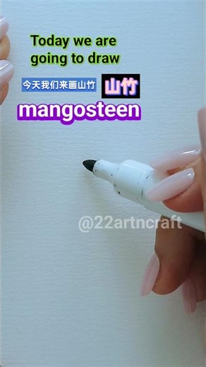 30 seconds to draw a mangosteen?! 😳三十秒可以画出山竹