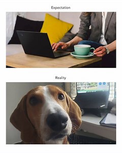 Working from home: expectation vs. reality... | Lenovo