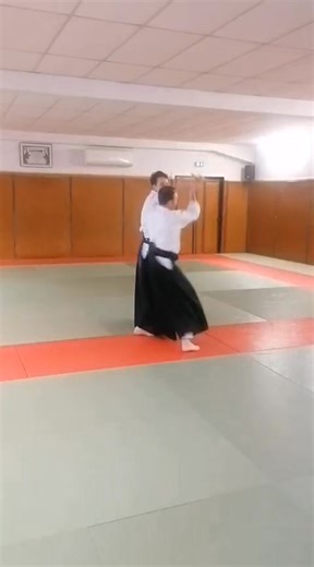Voici un échantillon vidéo du stage tanto d’hier animé par Fabrice sensei. Au programme : nage katame waza, entre projection et immobilisation, avec exigence et précision. #Aikido #Stage #NageKatameWaza #CercleAikidoChambery #Chambery #Savoie | Cercle Aïkido Chambéry
