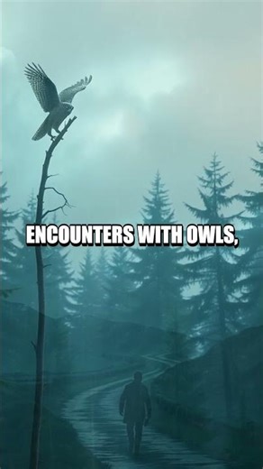 Currents of Cleverness: The Windbound Hunt