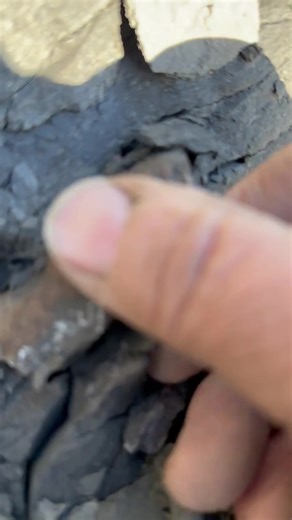 77K views · 880 reactions | A fossil poo or coprolite possibly from an Ichthyosaur I found couple days ago Charmouth | Charmouth Fossils | Facebook