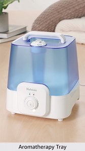 Holmes Ultrasonic Cool and Warm Mist Humidifier, 1 Gallon Ultrasonic Humidifier with Adjustable Mist, Aromatherapy Tray and Easy Grip Handle