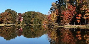 How do you achieve effective science communication?