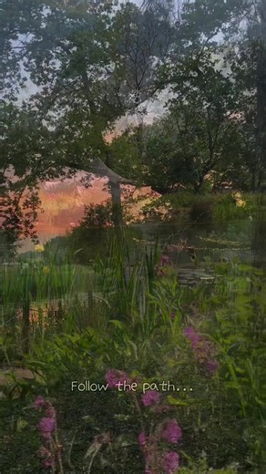 Discover the Serenity of Norfolk’s Island Glamping Retreat @Moat Island Glamping 🏕️☀️ If your looking for a peaceful escape then this is it ….. peace, tranquility, wild swimming and stunning sunsets . #glampinglife #sunsets #coldwaterswimming #norfolk
