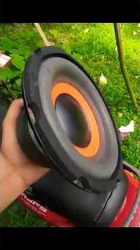 Cheapest 8 Inch Subwoofer Unboxing & Testing...