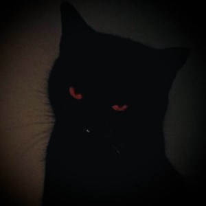 exiled_88 - Twitch
