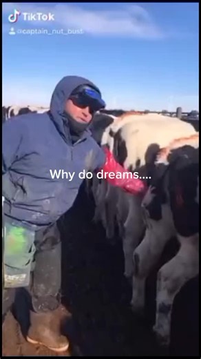 #stitch with @captain_nut_bust #nightmare #goodnight