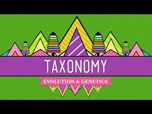 Nerdfighteria Wiki - Taxonomy: Life's Filing System - Crash Course Biology #19