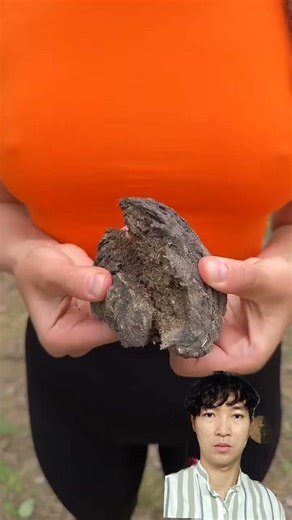 c#short phân bò đuổi được muỗi #survival #sinhton