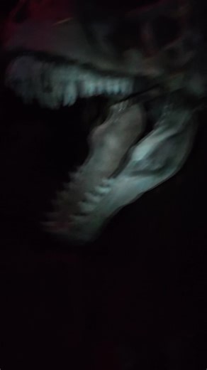 Meeting strange women in the jungle