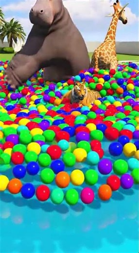 Long Slide Game With Hippo Tiger Giraffe - Jumping Into Ball Pit - Funny 3D Animals
