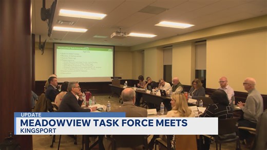 MeadowView task force discusses strengths, weaknesses