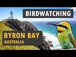 Birdwatching in Byron Bay - Australia | Bird Documentary