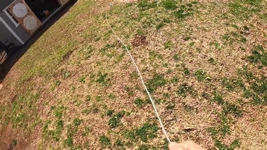 Watch Dog Stake with wire cable on Amazon Live