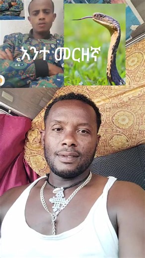 SNAKE EYES (@abe9360)’s videos with original sound - SNAKE EYES