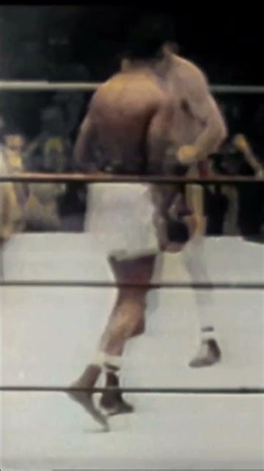 Jake LaMotta vs. Sugar Ray Robinson round 13 highlights #classicboxing #boxing