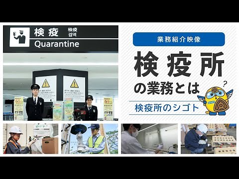 検疫所のシゴト