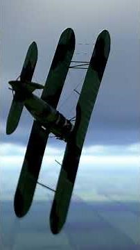 Biplane U-2 aerobatics #ww2 #aviation #history