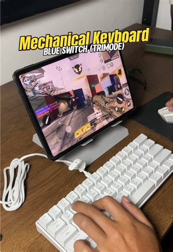 Budget Mechanical Keyboard for Gaming & Office
