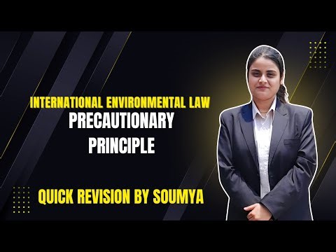 Precautionary Principle | International Environmental Law | College Tutor Law