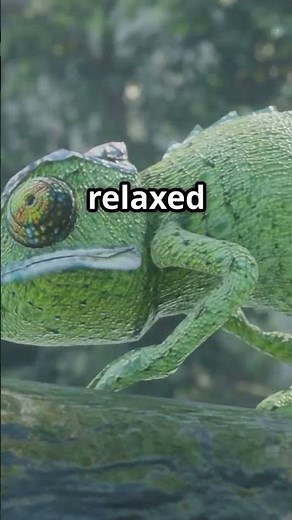 Chameleons: Nature's Color Magicians!